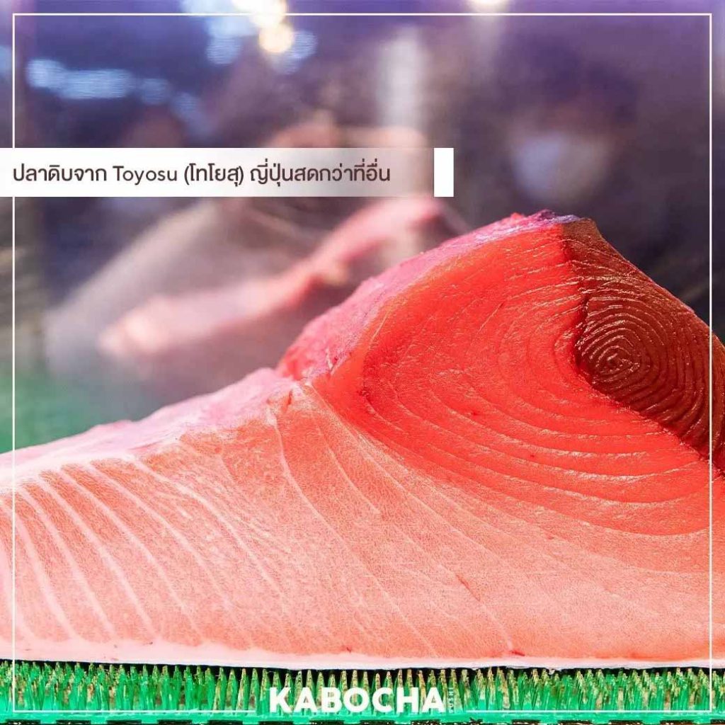 sushi ปลาดิบ จาก Toyosu ญี่ปุ่น สู่ ร้านอาหารญี่ปุ่น delivery คาโบฉะ ซูชิ