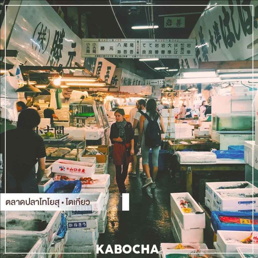 kabocha sushi ภาพตลาด ปลาดิบ จาก Toyosu ญี่ปุ่น สู่ ร้านอาหารญี่ปุ่น delivery คาโบฉะ ซูชิ
