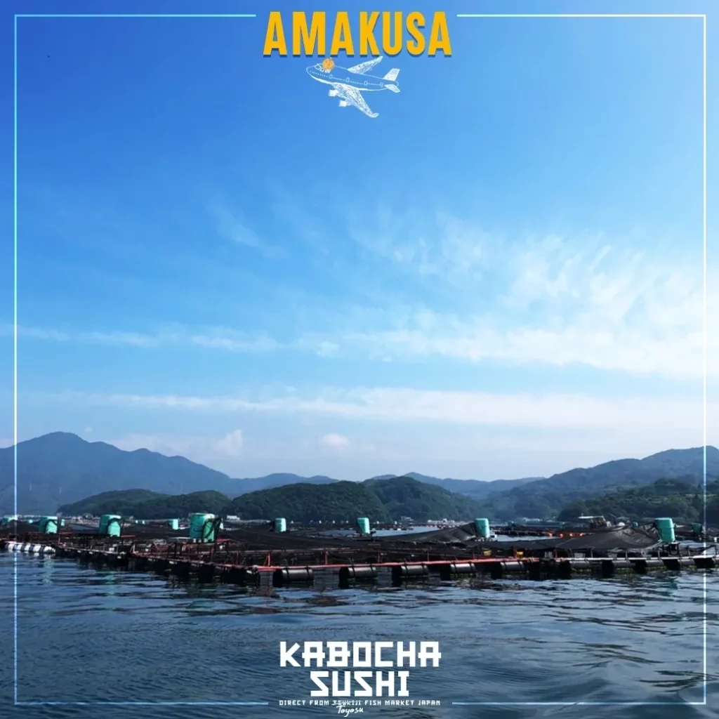 เกาะ Amakusa ของจังหวัด Kumamoto