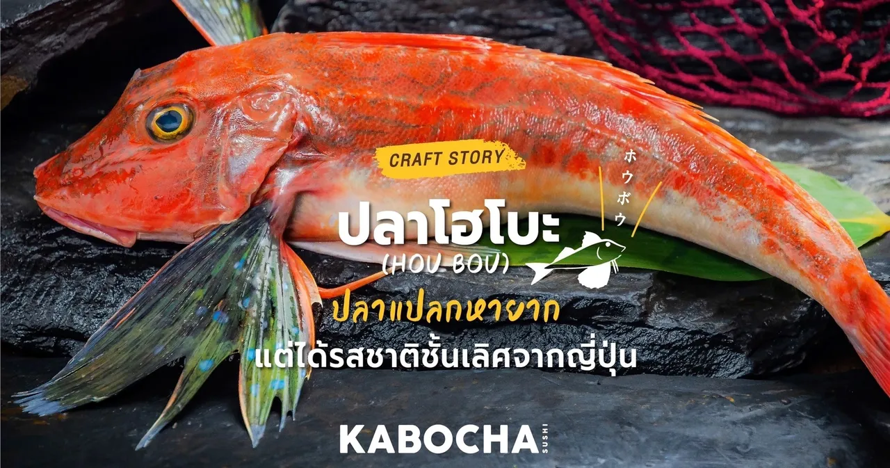 ปลาโฮโบะ ปลาแปลกหายาก ร้านอาหารญี่ปุ่น kabocha sushi delivery