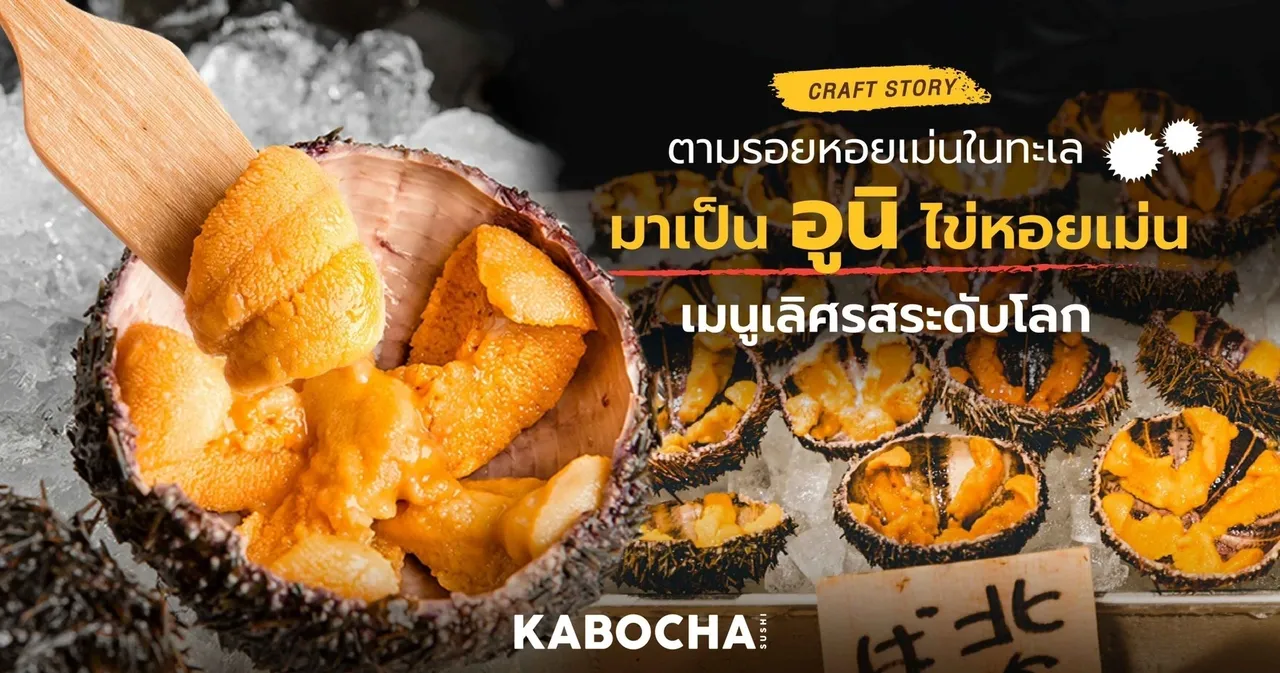 อูนิ ไข่หอยเม่น ร้านอาหารญี่ปุ่น kabocha sushi delivery