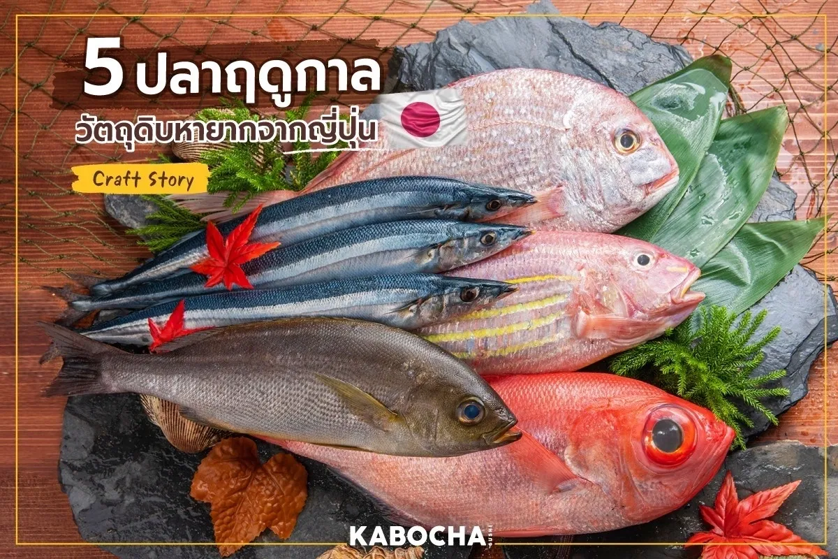 kabocha sushi delivery ร้านอาหารญี่ปุ่น แนะนำ ปลาหายาก