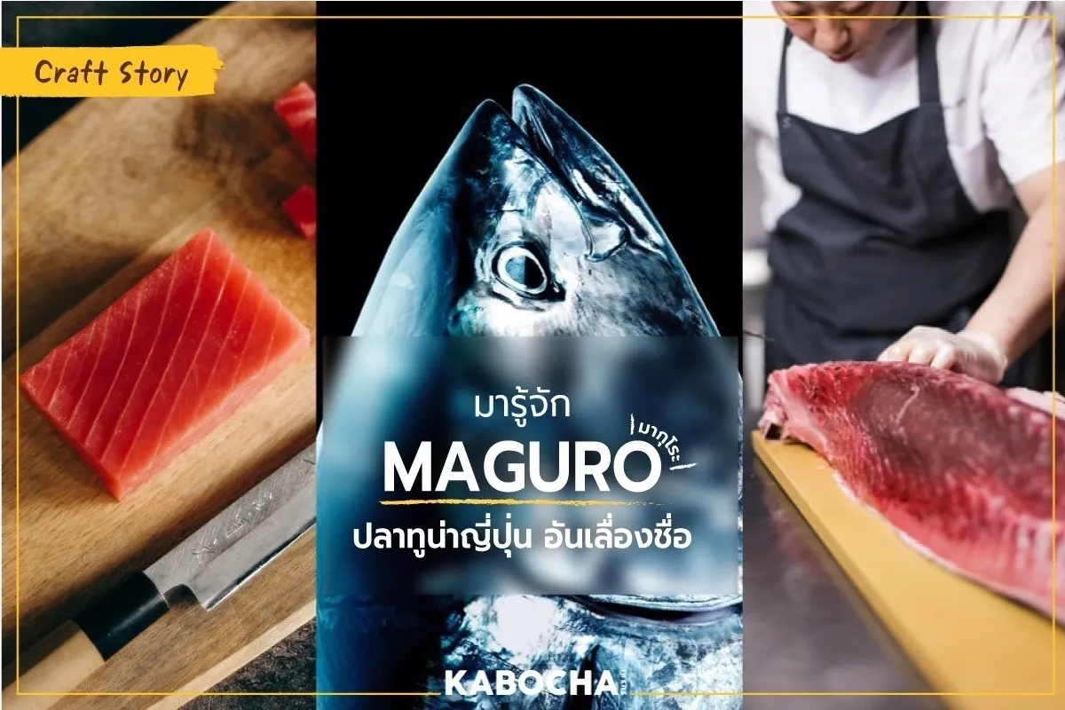 ร้านอาหารญี่ปุ่น คาโบฉะ ซูชิ เดลิเวอรี่ ซาซิมิ ปลาดิบ เมนู อาหารญี่ปุ่น Maguro