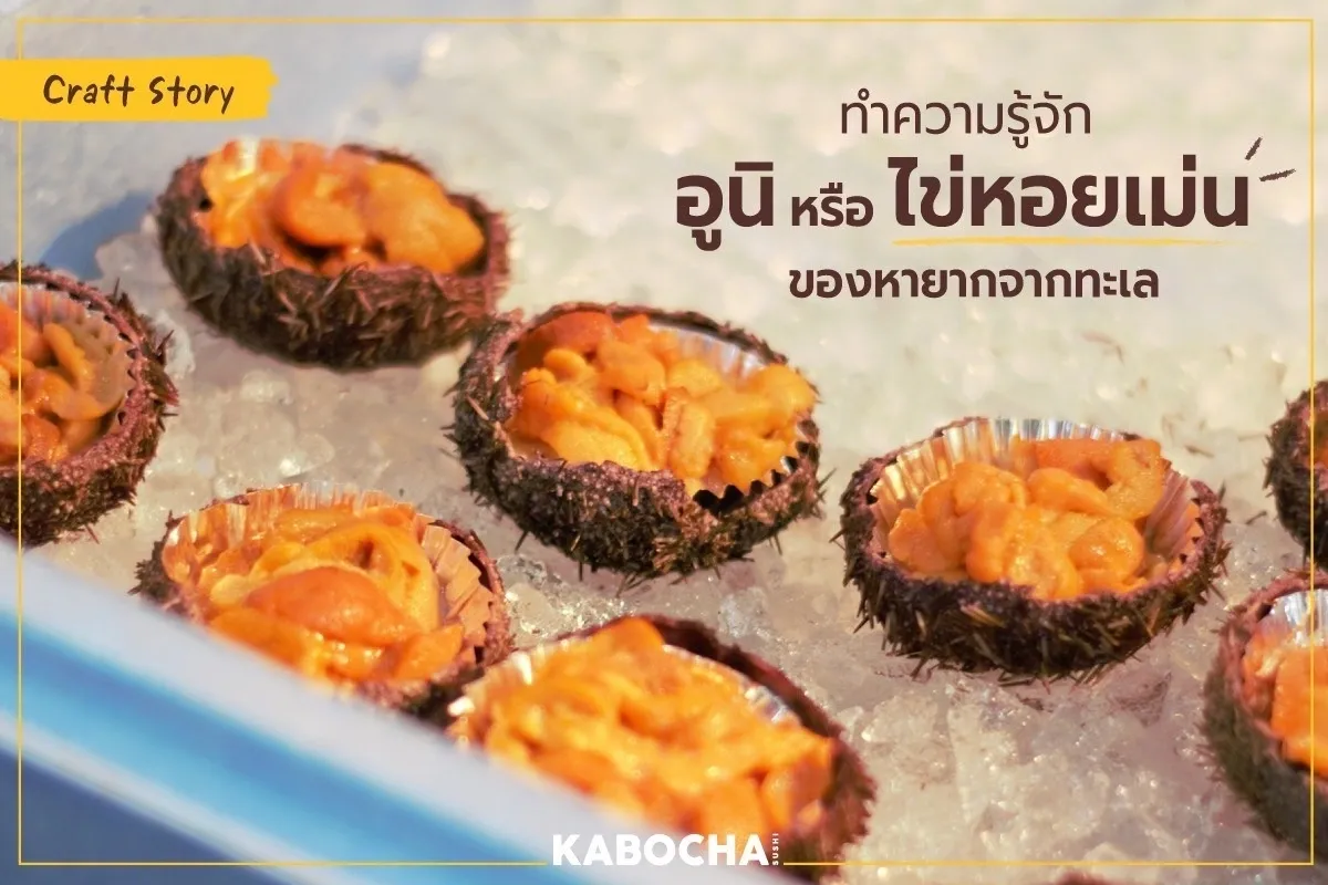 อาหารญี่ปุ่นใกล้ฉัน kabocha sushi delivery sashimi Uni “อูนิ” หรือ “ไข่หอยเม่น” ของหายากจากทะเล