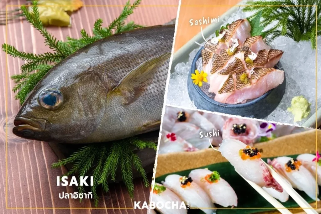 kabocha sushi delivery ร้านอาหารญี่ปุ่น แนะนำ ปลา isaki