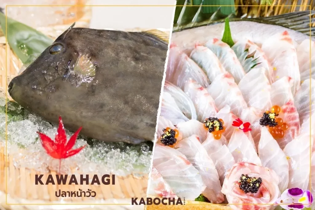 kabocha delivery ร้านอาหารญี่ปุ่น แนะนำ ปลา kawahagi