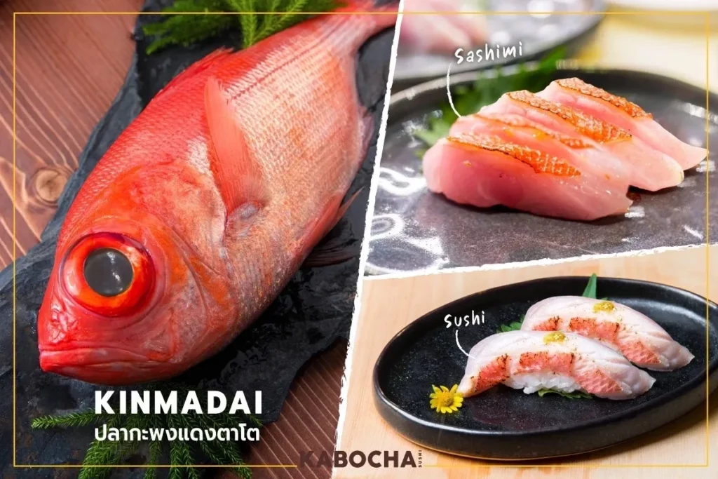 kabocha sushi delivery ร้านอาหารญี่ปุ่น แนะนำ ปลา kinmadai