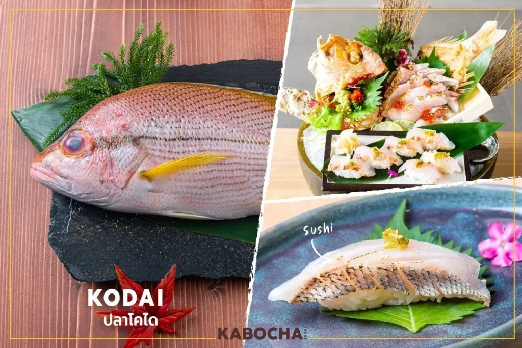 kabocha sushi delivery ร้านอาหารญี่ปุ่น แนะนำ ปลา kodai