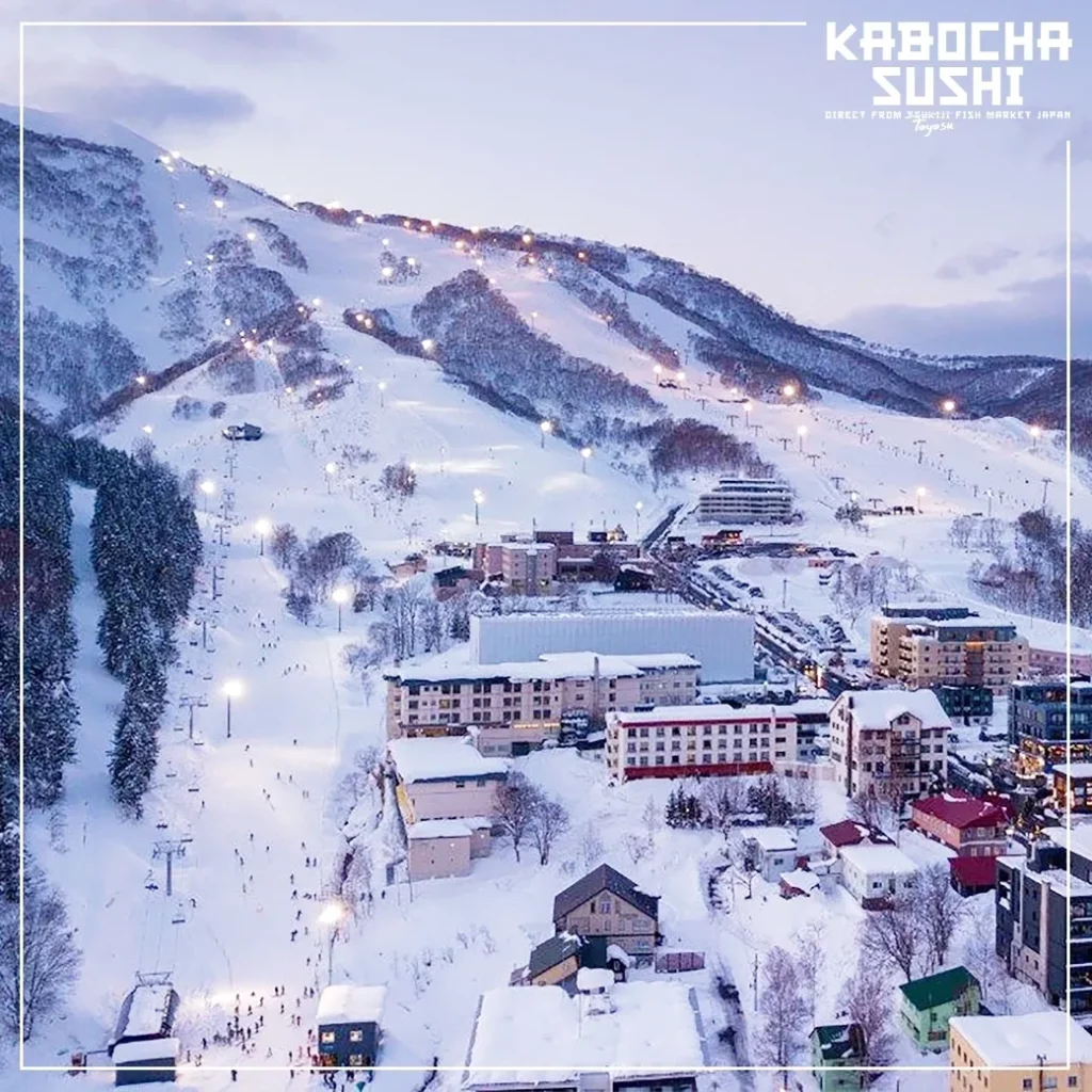 คาโบฉะ ซูชิ เดลิเวอรี่ พาทัวร์ NISEKO แดนหิมะ ของญี่ปุ่น