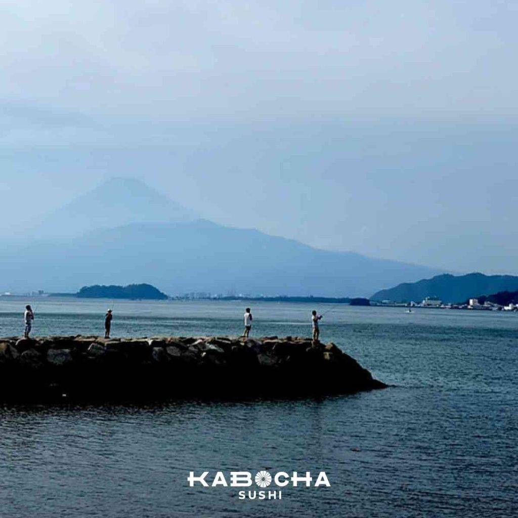 กังหันน้ำใต้ทะเล พลังงานสะอาด จากใน ทะเลญี่ปุ่น kabocha sushi