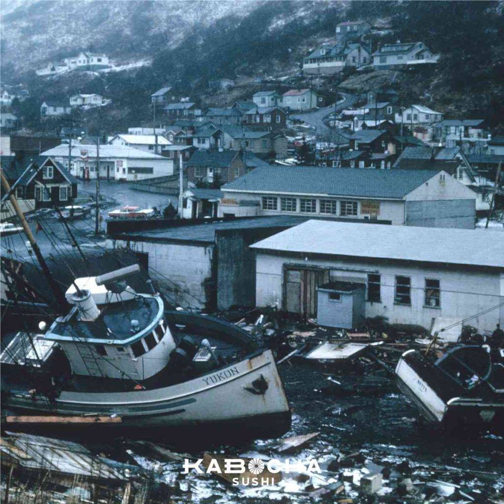 ญี่ปุ่น ฟื้นคืนระบบนิเวศ หลังภัยพิบัติ โดย kabocha sushi