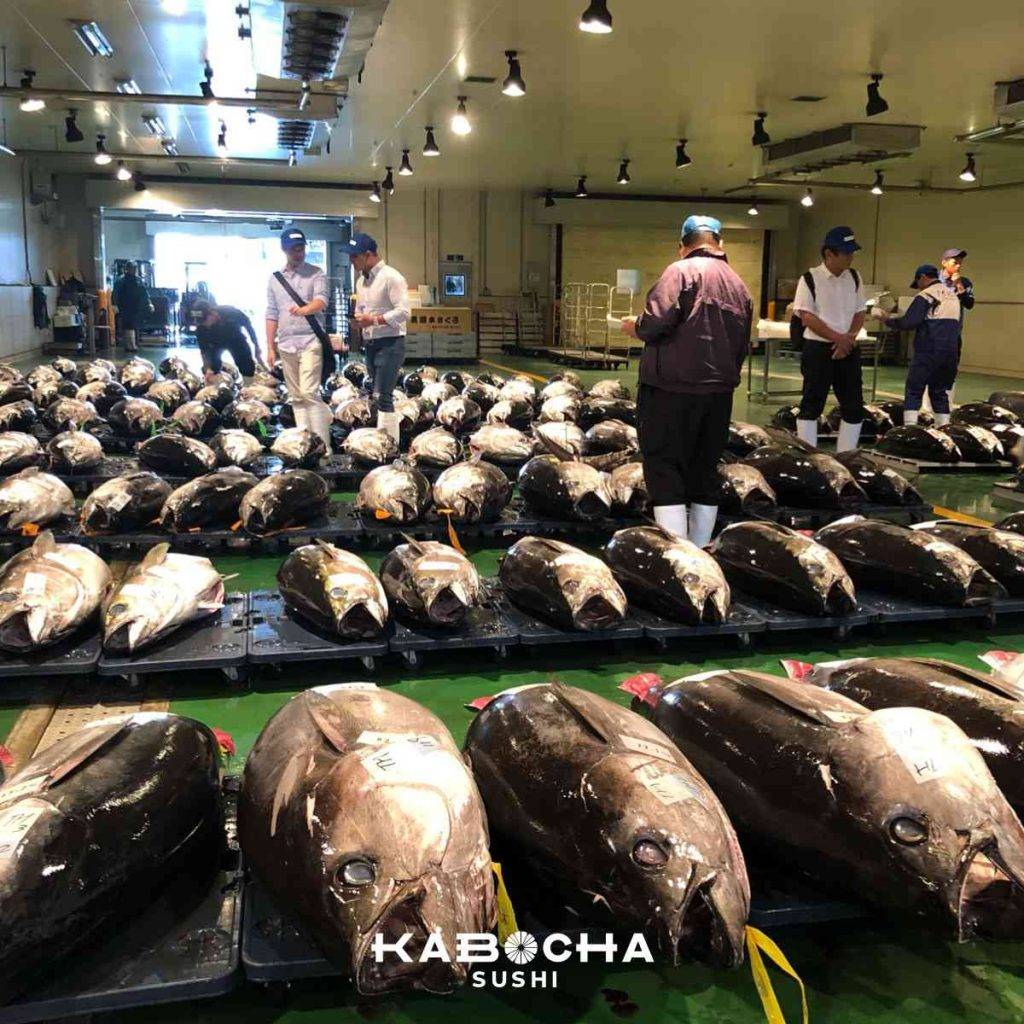 ญี่ปุ่น มีการ ฟื้นคืนระบบนิเวศ หลังภัยพิบัติ โดย kabocha sushi