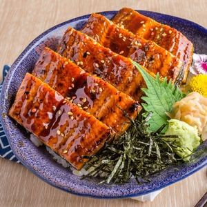 Unagi Don